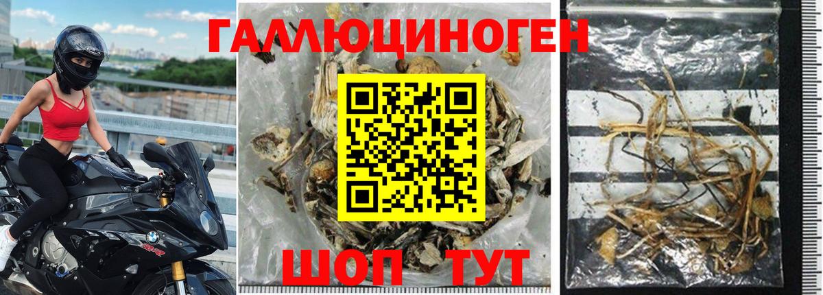 Псилоцибиновые грибы ЛСД Кунгур